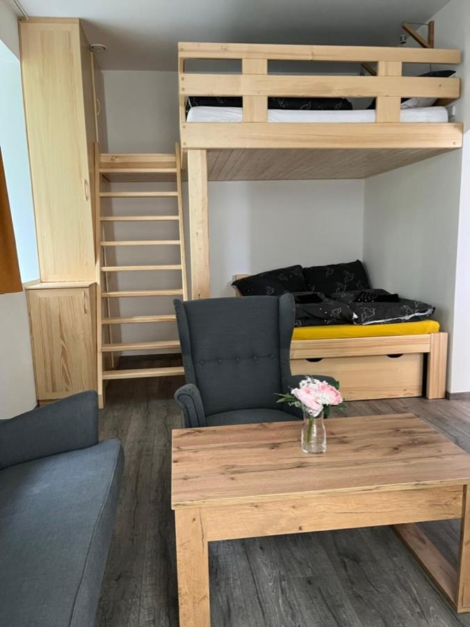 Moderni Apartman Uprostred Sumavske Prirody Zdikovec 外观 照片
