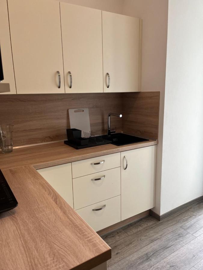 Moderni Apartman Uprostred Sumavske Prirody Zdikovec 外观 照片